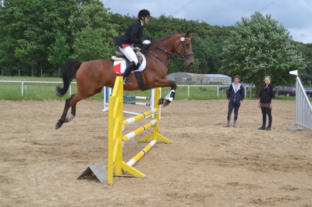 reitertag 2013 95
